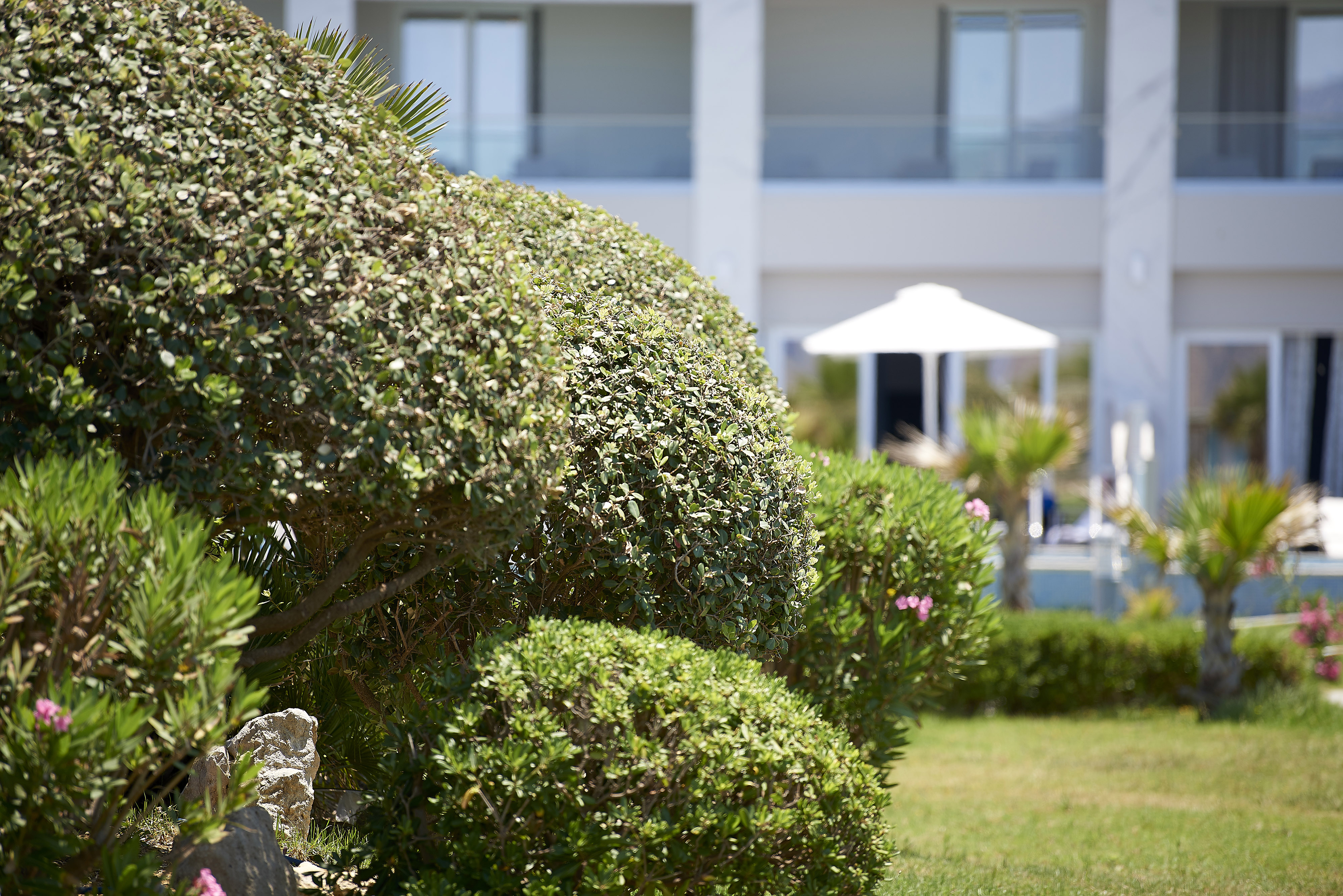 Mythos Palace Resort & Spa