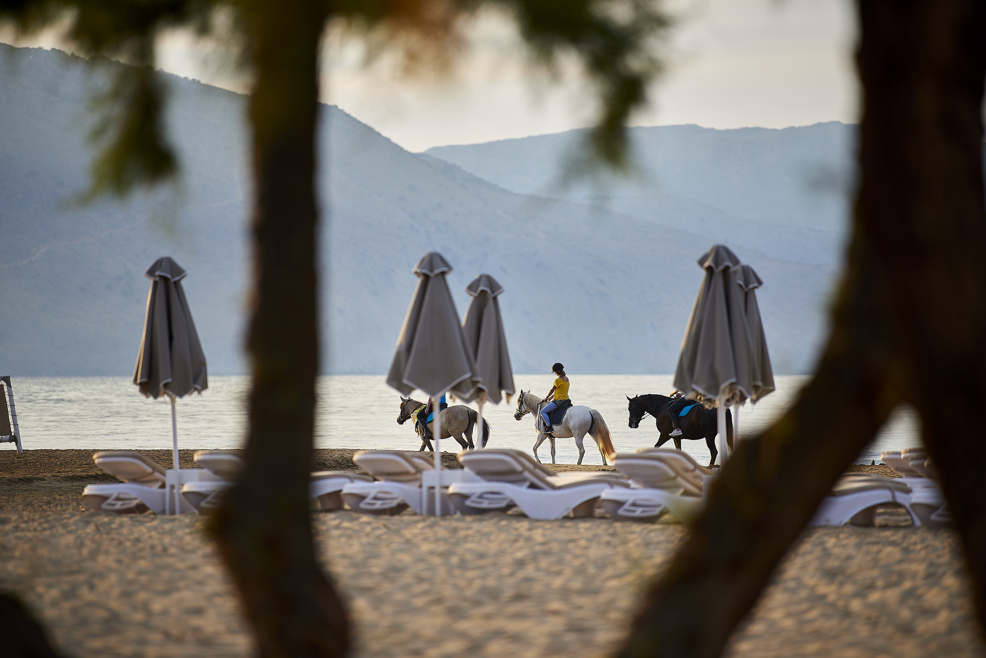 Mythos Palace Resort & Spa