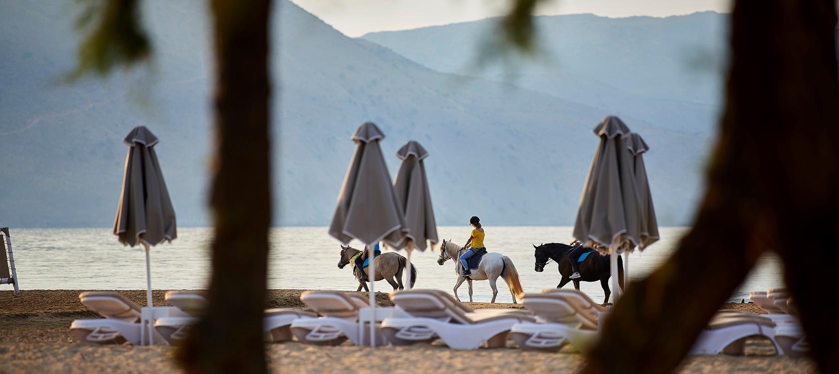 Mythos Palace Resort & Spa