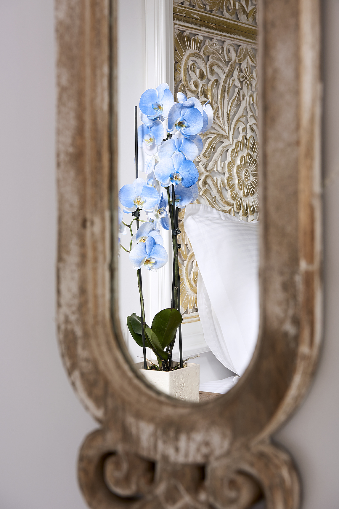 Mythos Palace Resort & Spa