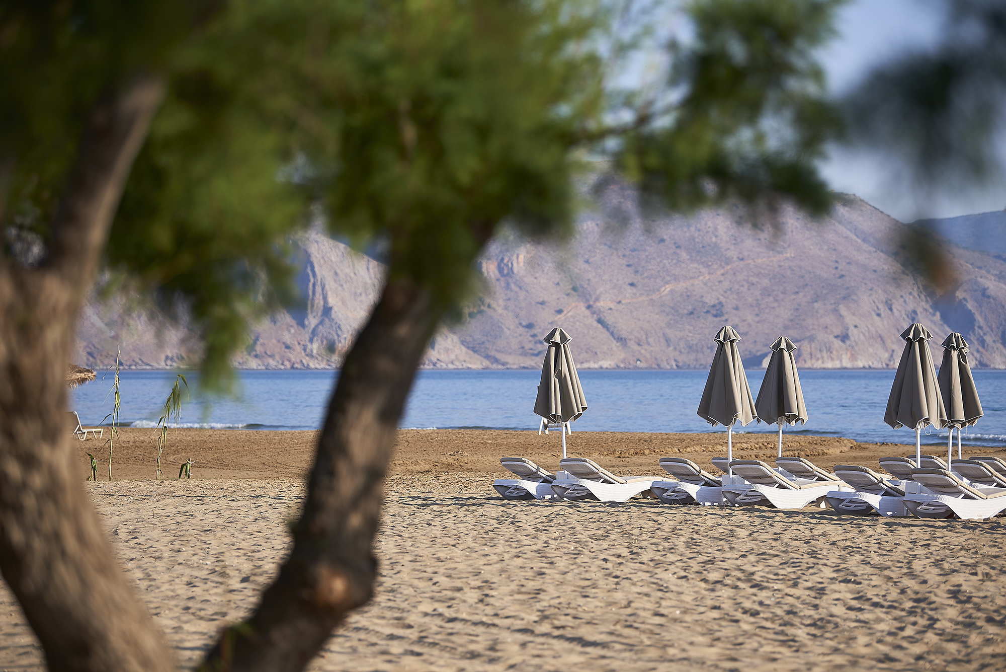 Mythos Palace Resort & Spa