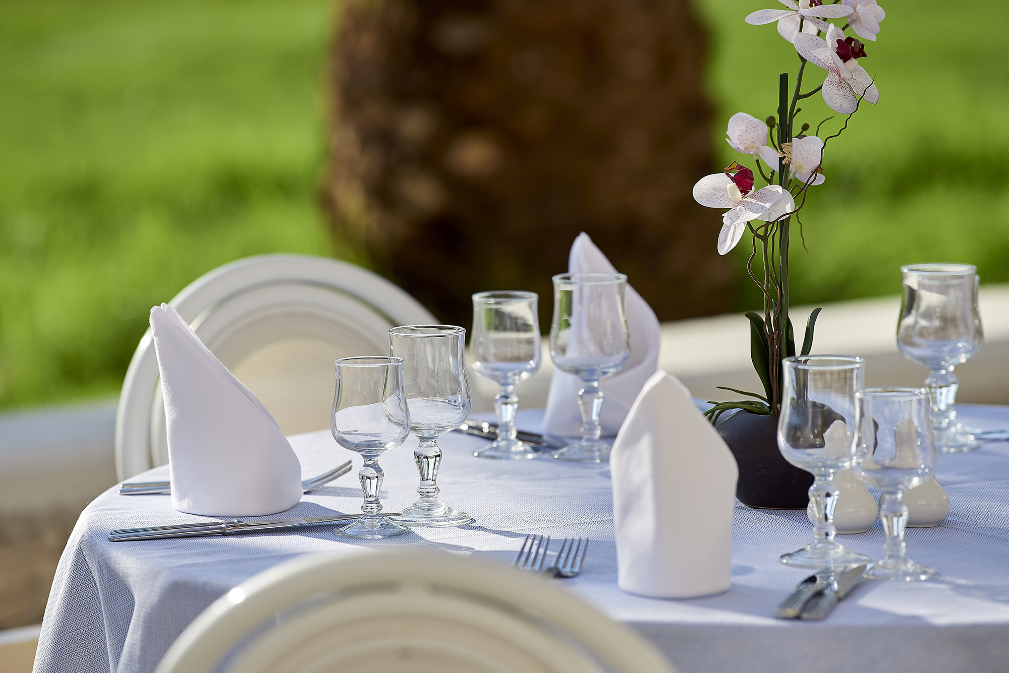 Mythos Palace Resort & Spa