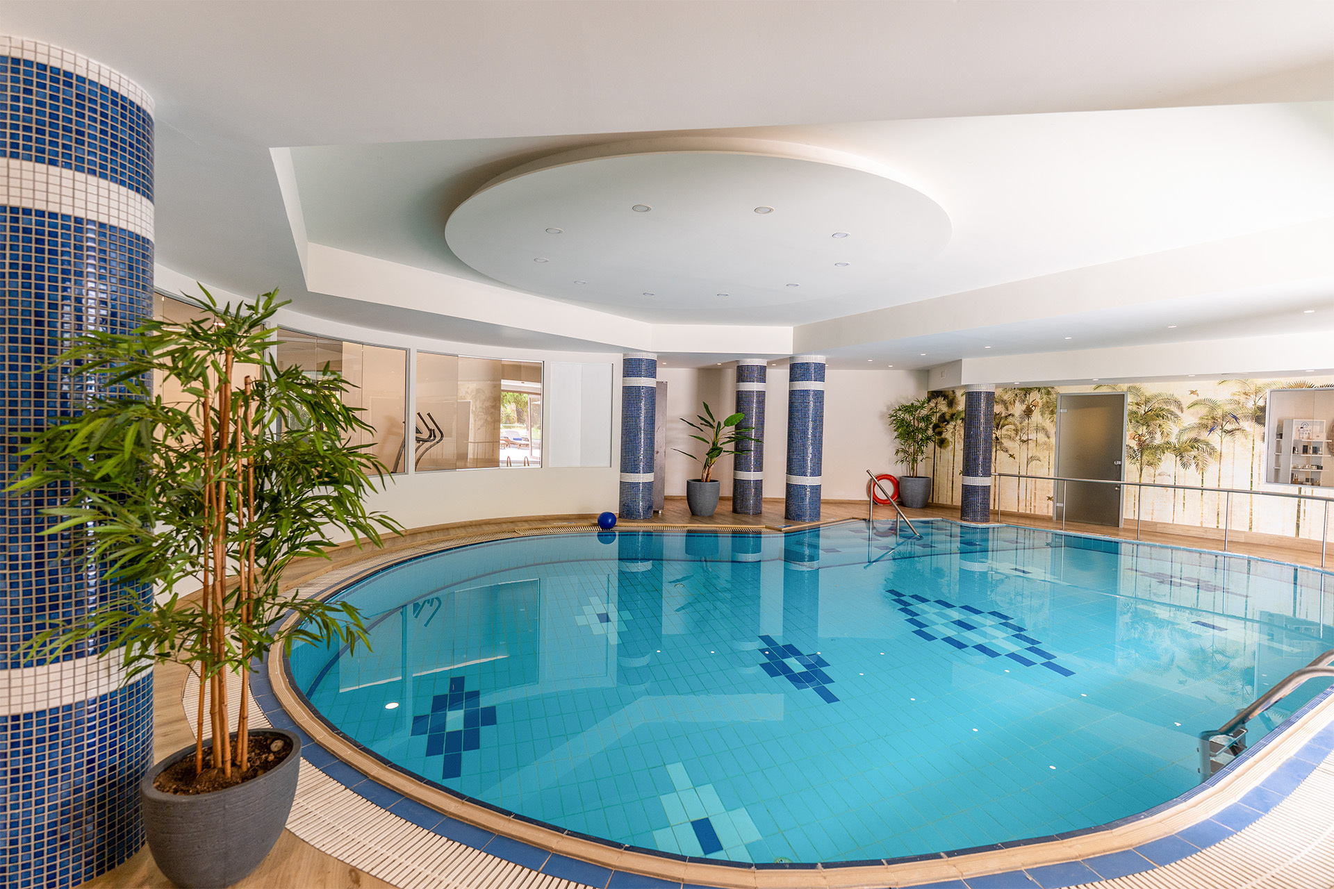 WELLNESS